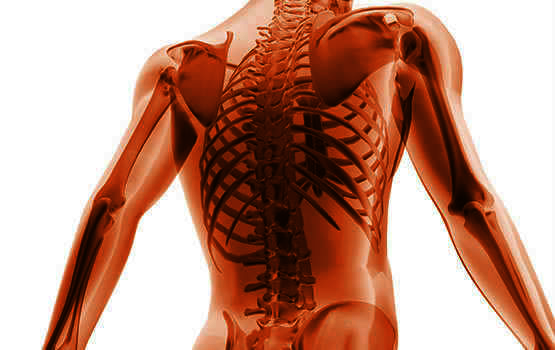 Magnesium - hořčík: nedostatek magnesia příznaky, co způsobuje nedostatek hořčíka, magnesium