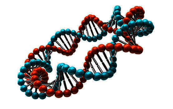 magnerot, co je kyselina orotová, magnesium a hořćik účinky